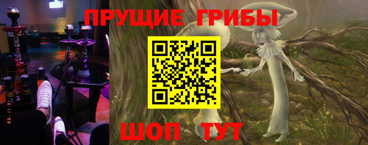 Галлюциногенные грибы MAGIC MUSHROOMS Советская Гавань