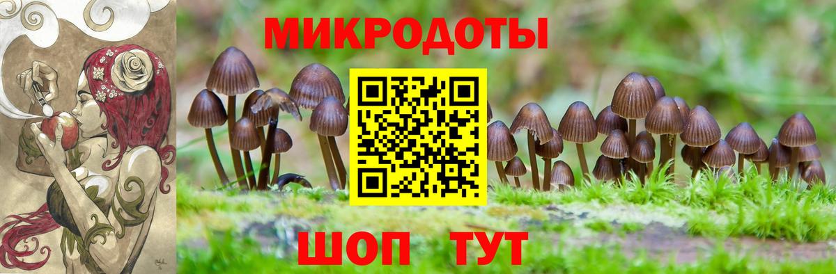 Галлюциногенные грибы мухоморы  Псилоцибиновые грибы Magic Shrooms  Советская Гавань  Вход с VPN 